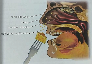 Pedaço de queijo sendo aproximado da boca