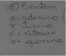 UR 5.4 Conhecimento equivocado a respeito de células haploides e diploides