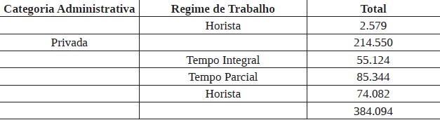 Tabela 1: Total de docentes do Ensino Superior brasileiro em 2016 por categoria administrativa e regime de trabalho
