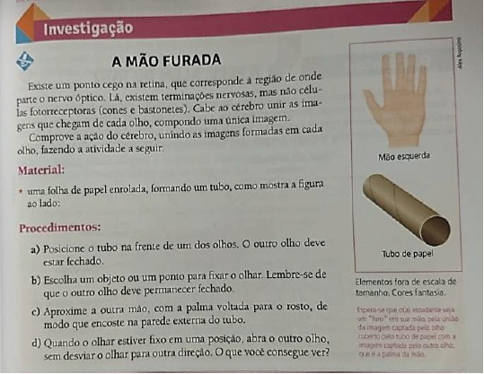 proposição de atividades investigativas